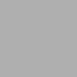 Srebrny (RAL9006)