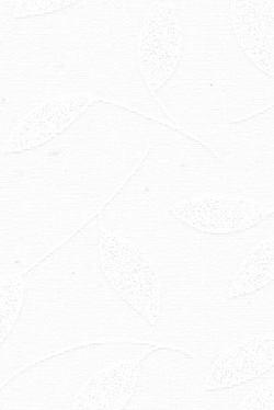 6204 (PG3)