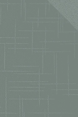 5007