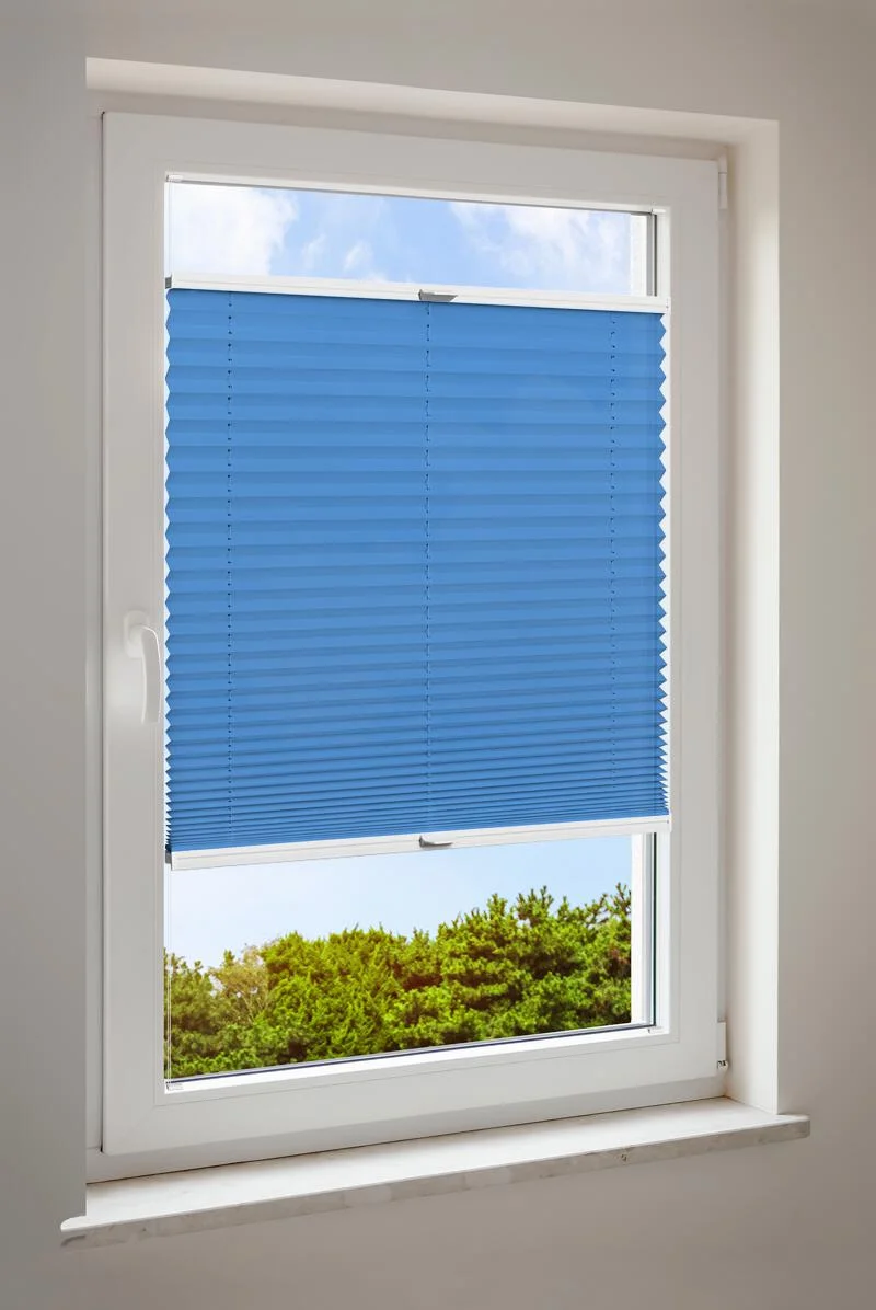 Plisa Niebieska Podstawowa