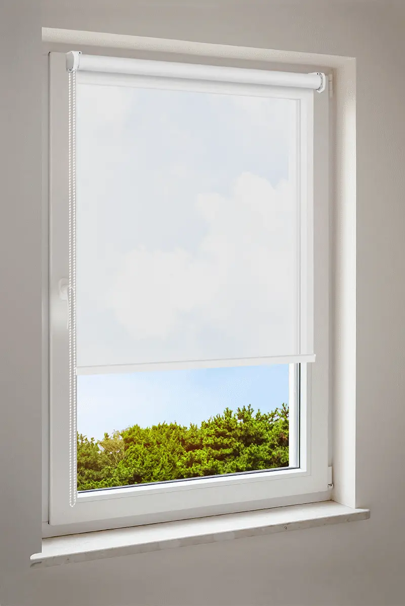 Roleta pergaminowobiała | półprzezroczysta