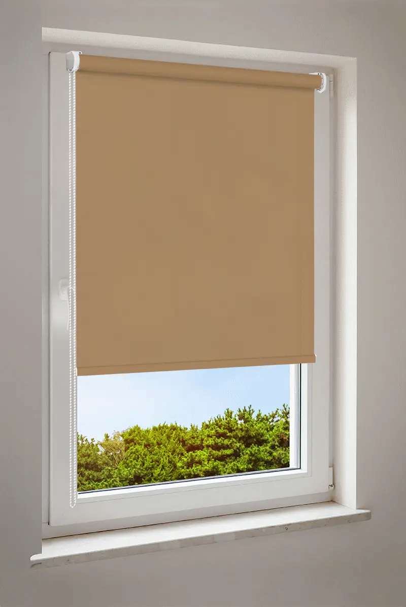 Roleta orzechowa | półprzezroczysta